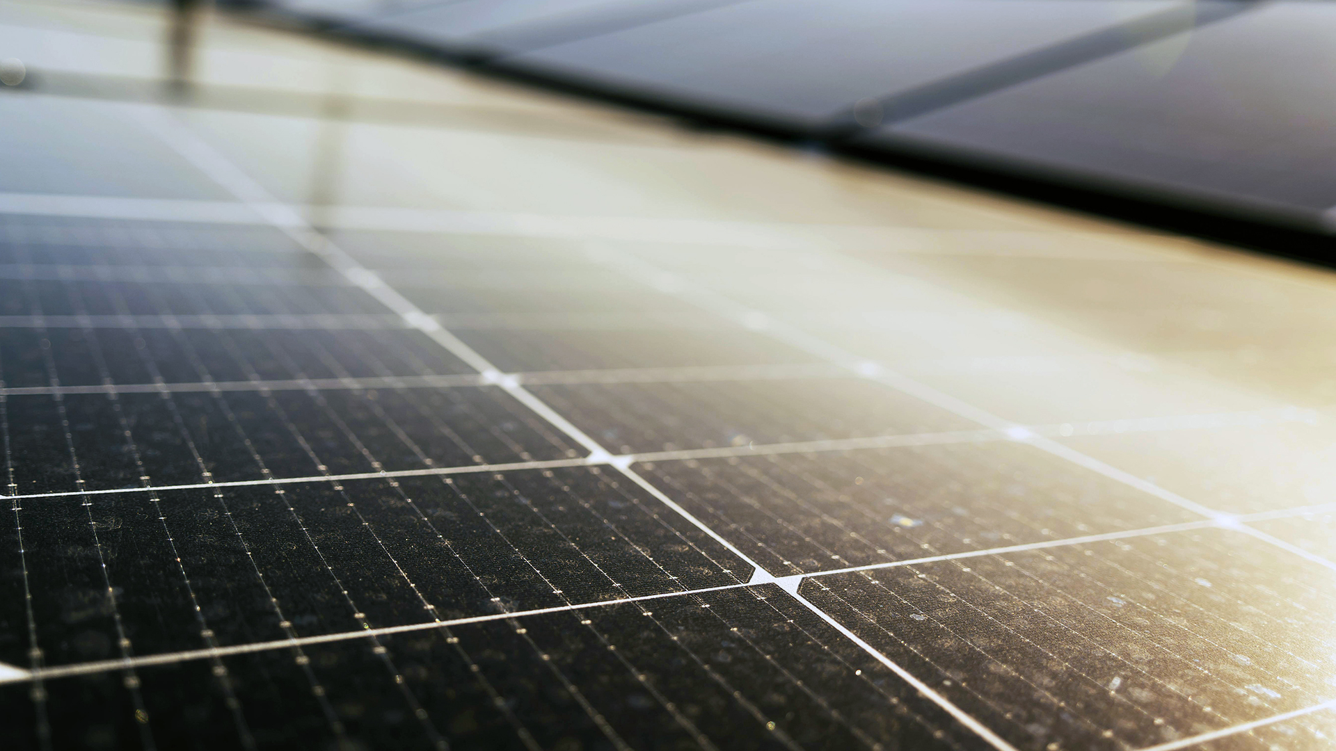 Solar 53 : installation de panneaux photovoltaïques en Mayenne